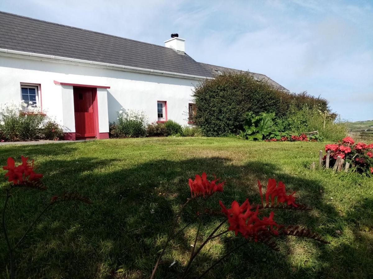 B&B The Red Door Cottage Donegal Town Екстер'єр фото