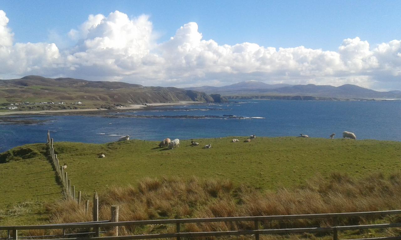 B&B The Red Door Cottage Donegal Town Екстер'єр фото