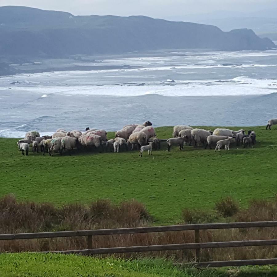 B&B The Red Door Cottage Donegal Town Екстер'єр фото